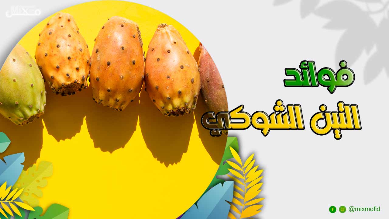 فوائد فواكه الصبر