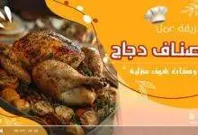 أصناف دجاج