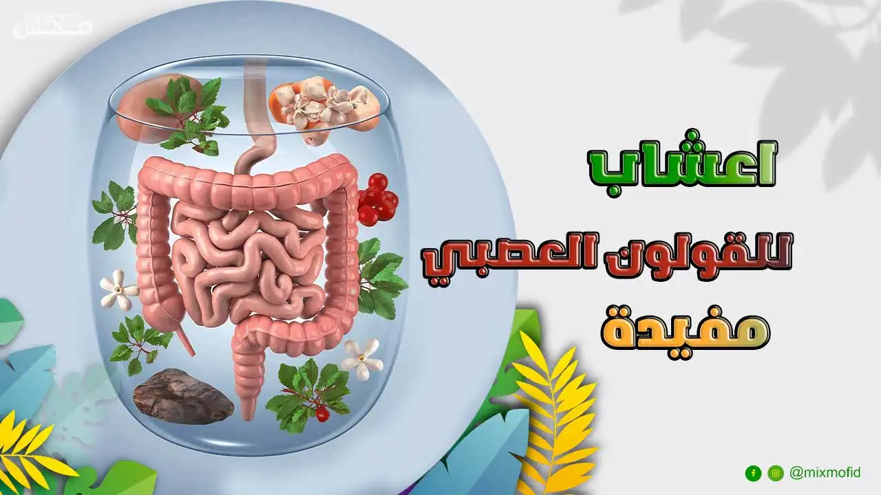 اعشاب مفيدة للقولون