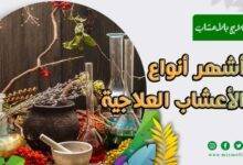 الأعشاب العلاجية