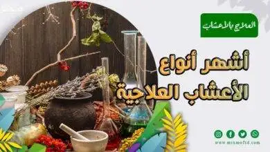 الأعشاب العلاجية