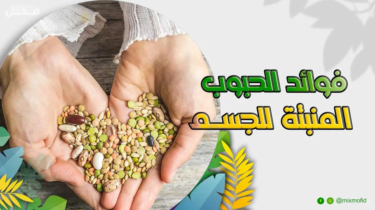 فوائد الحبوب المنبتة للجسم