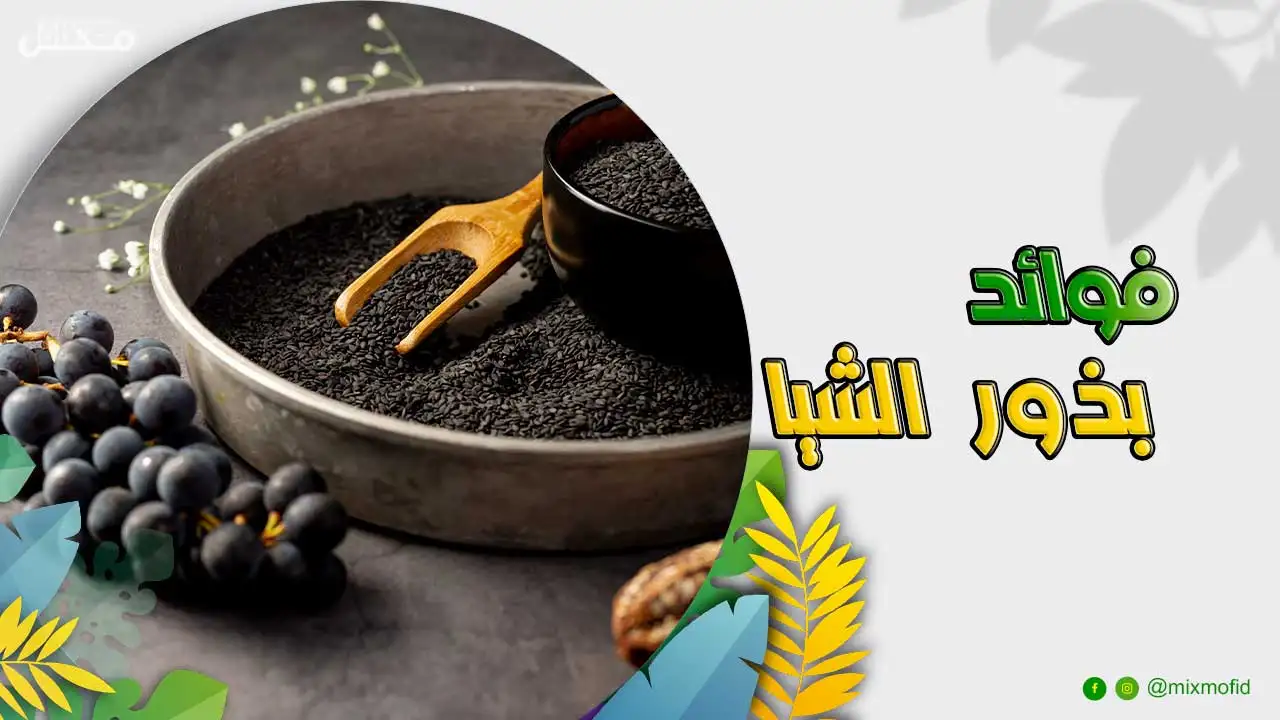 فوائد بذور الشيا