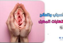 التهابات المهبل